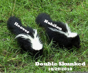 doubleskunked.jpg