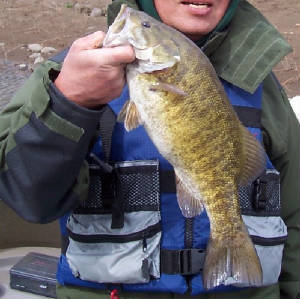 mar09smallmouth.jpg