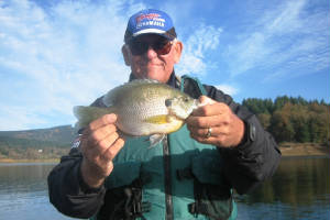 tombluegill.jpg